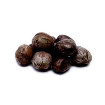 Fava de Omolu - Obaluaê - Dúzia